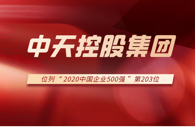 云鼎国际4118集团列2020中国企业500强第203位！